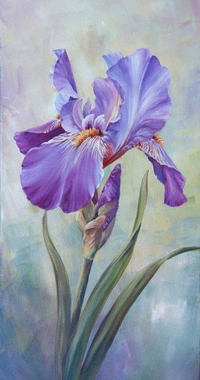 290x550 Single Iris Iris, Watercolor And Paintings - Watercolor Painting Of Irises