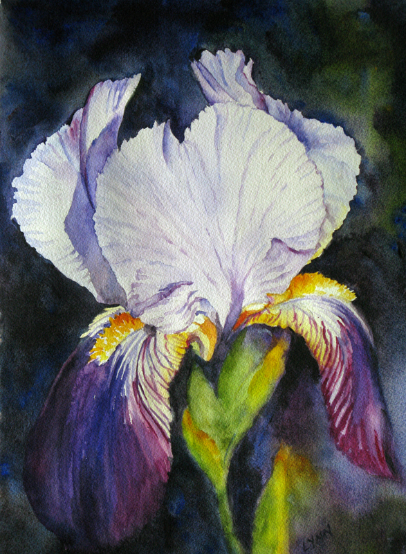 587x800 The Art Of Lynn Miller Flowers Page 1 Page 2 Beautiful - Watercolor Painting Of Irises