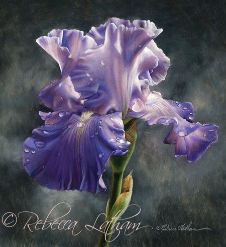 450x493 Iris Painting In Miniature New Watercolor Paintings - Watercolor Painting Of Irises