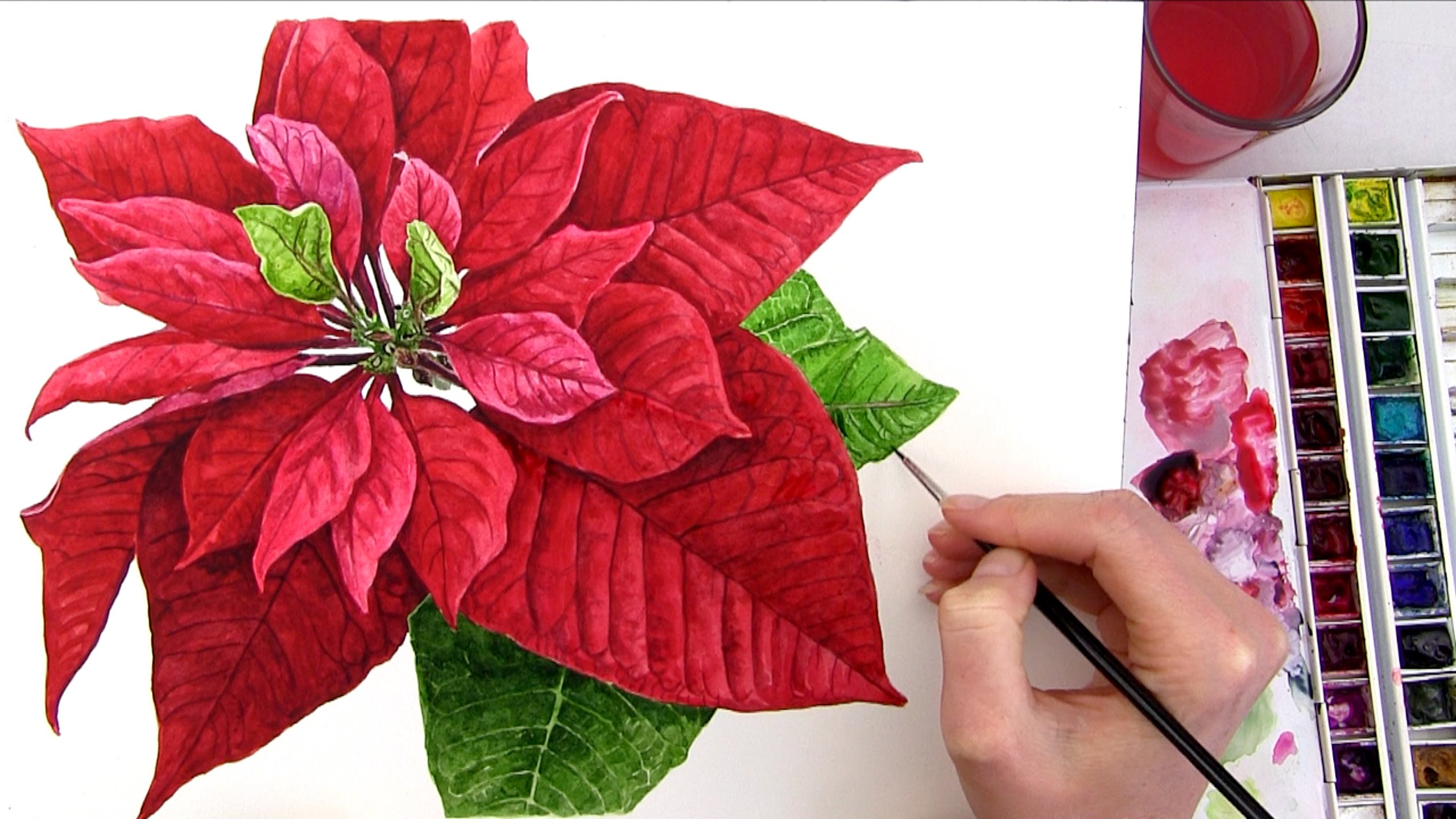 2560x1440 How To Paint A Realistic Poinsettia For Your Christmas Card - Watercolor Painting Of Poinsettias