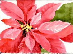 236x174 Margaret Nock Rodriguez Watercolor Christmas Poinsettia - Watercolor Painting Of Poinsettias