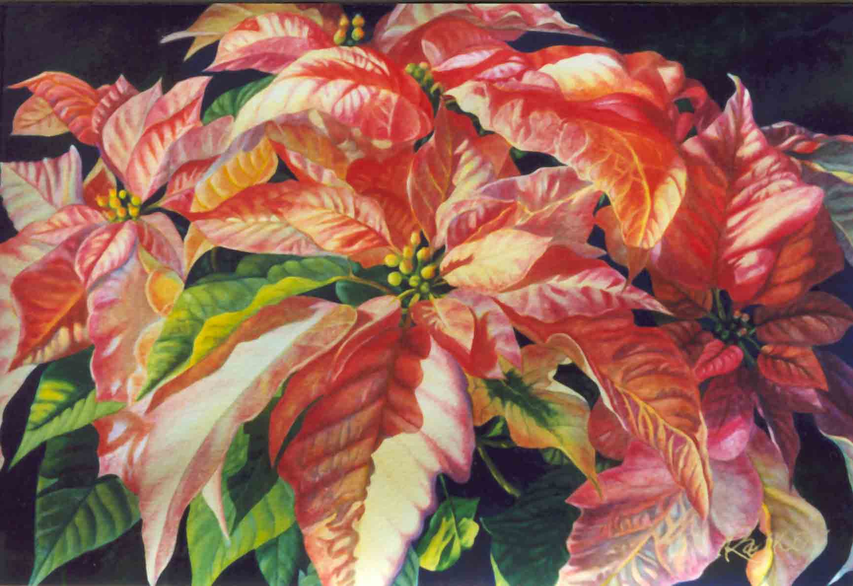 1730x1189 Still Life - Watercolor Painting Of Poinsettias