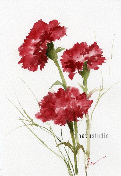 507x737 January Birthday Flowers. Sale 50% Off Price. Red Carnation - Watercolor Painting Price