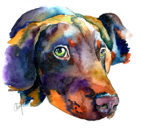 600x544 Doberman Watercolor Painting By Christy Freeman - Watercolor Painting Prints
