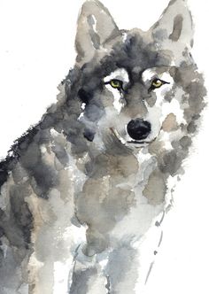 236x332 How To Draw A Wolf - Watercolor Painting Wolf