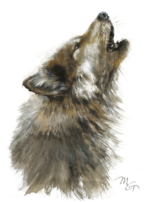 570x700 Wolf Watercolor Painting Giclee Print Home Wall Decor - Watercolor Painting Wolf