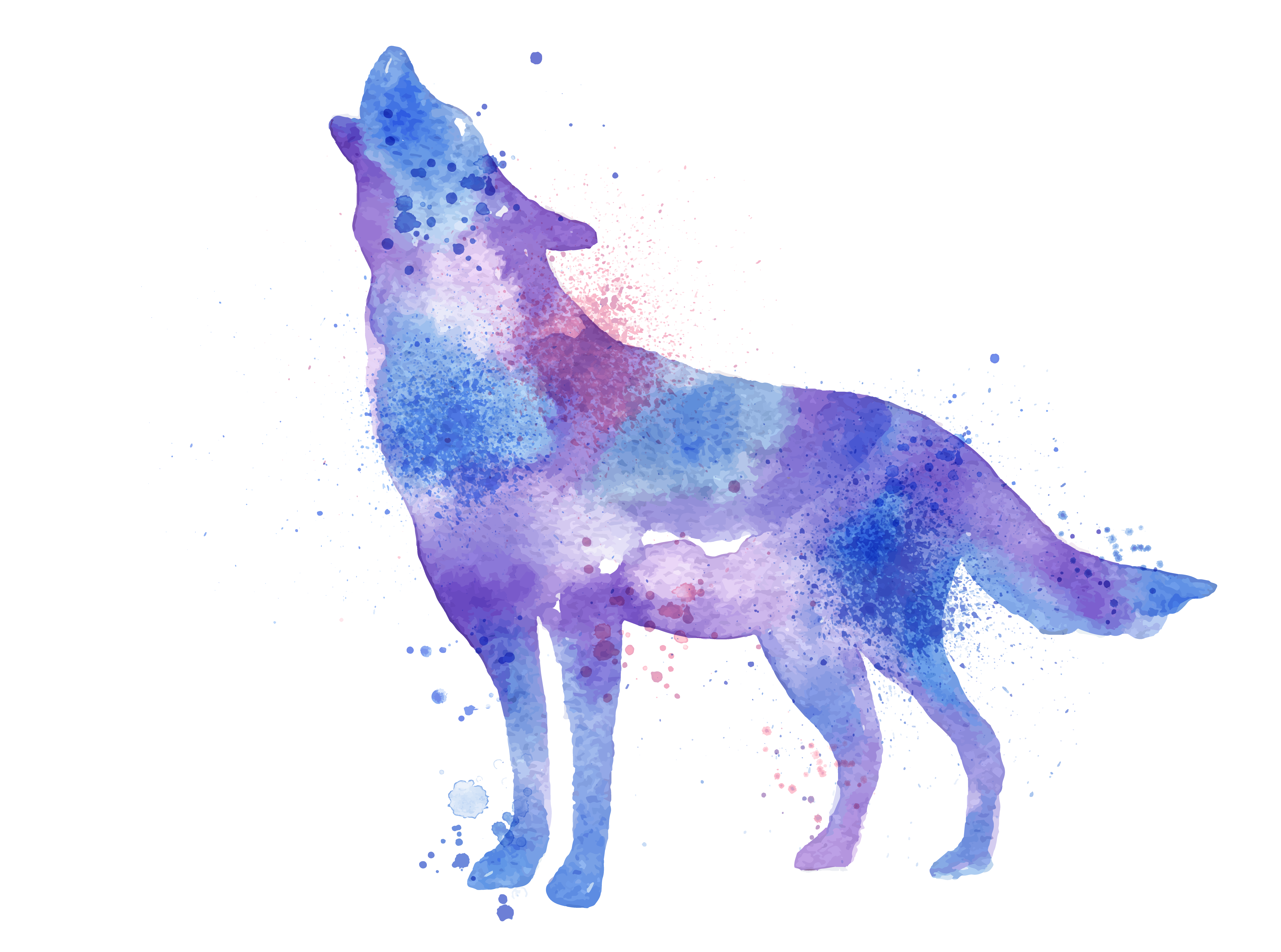 5000x3715 Gray Wolf Watercolor Painting Printmaking Printing - Watercolor Painting Wolf