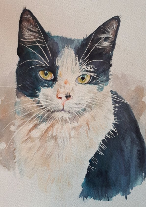 595x842 Contemporary Watercolour Painting - Watercolour Painting