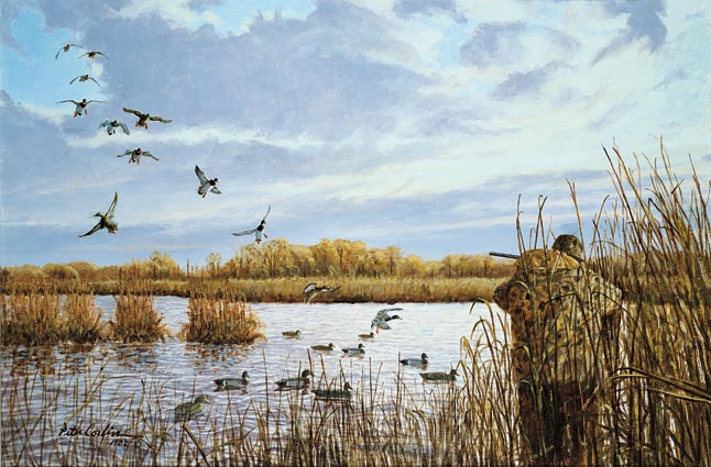 646x425 Waterfowl Hunting Guide - Waterfowl Painting