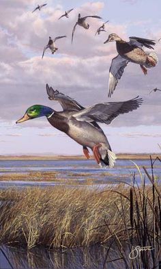 236x393 Waterfowl Paintings - Waterfowl Painting
