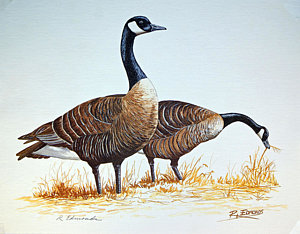 300x234 Waterfowl Paintings Fine Art America - Waterfowl Painting