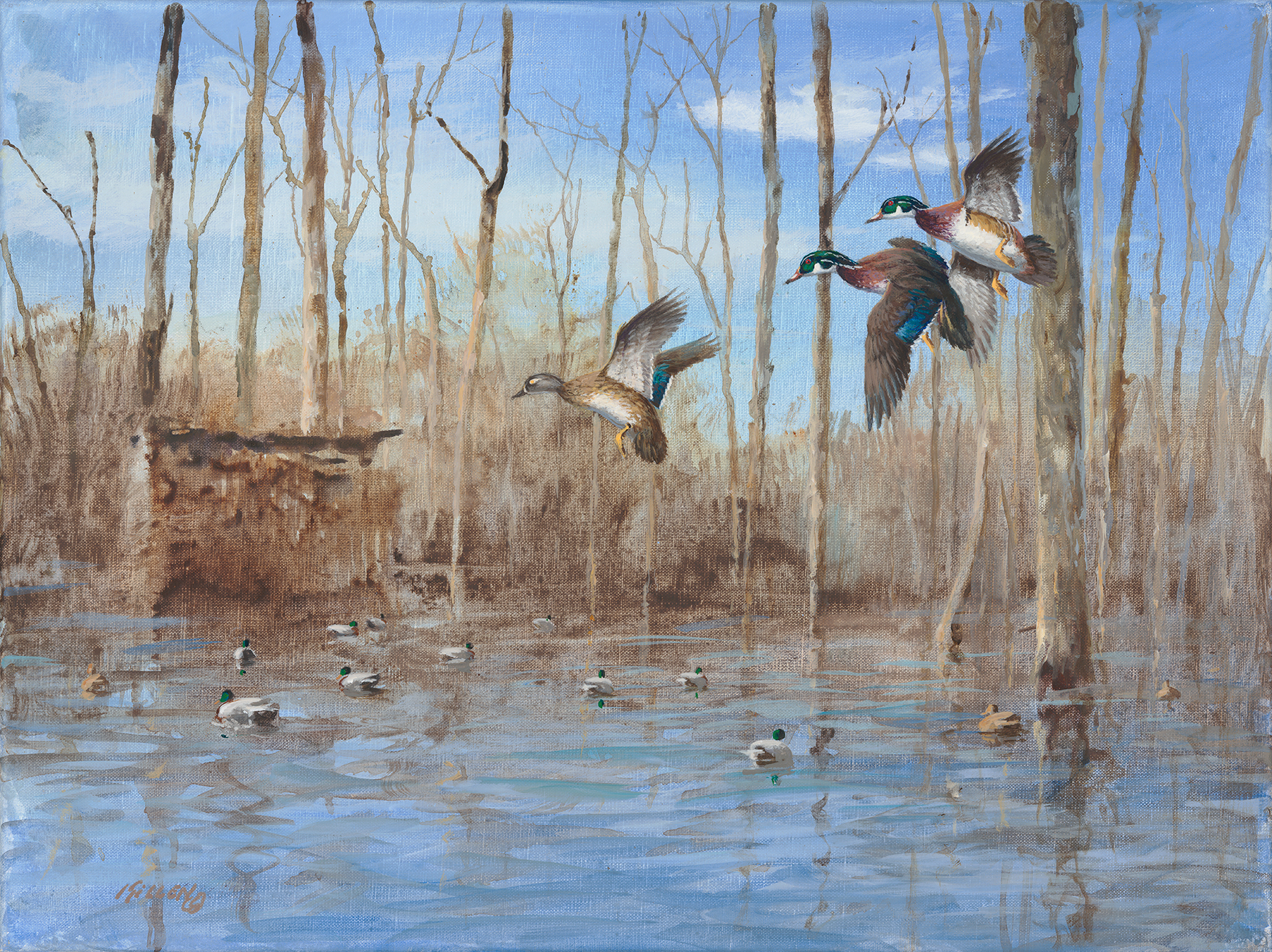 1800x1347 Waterfowl Paintings By Jim Killen - Waterfowl Painting