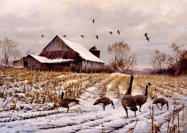 600x426 Waterfowl Paintings By Jim Killen 12 Water Fowl - Waterfowl Painting