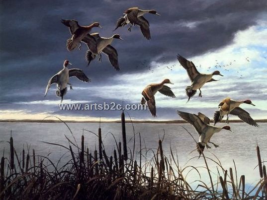 537x403 Waterfowl Oil Painting Op Cl4 430 - Waterfowl Painting