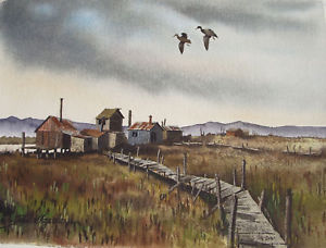 300x228 David Hagerbaumer Original Signed Watercolor Painting Waterfowl - Waterfowl Painting