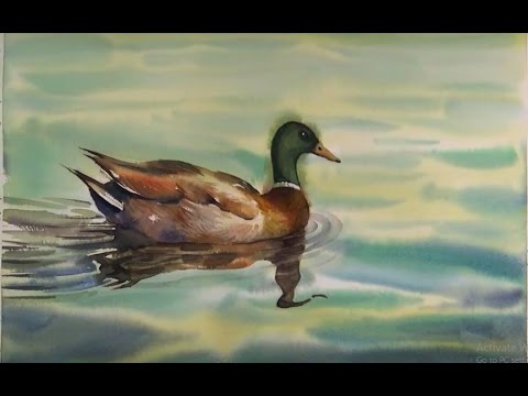 480x360 How To Paint Duck In Watercolor - Waterfowl Painting