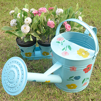 350x350 Metal Garden Hand Painting Decorate Watering Can - Watering Can Painting