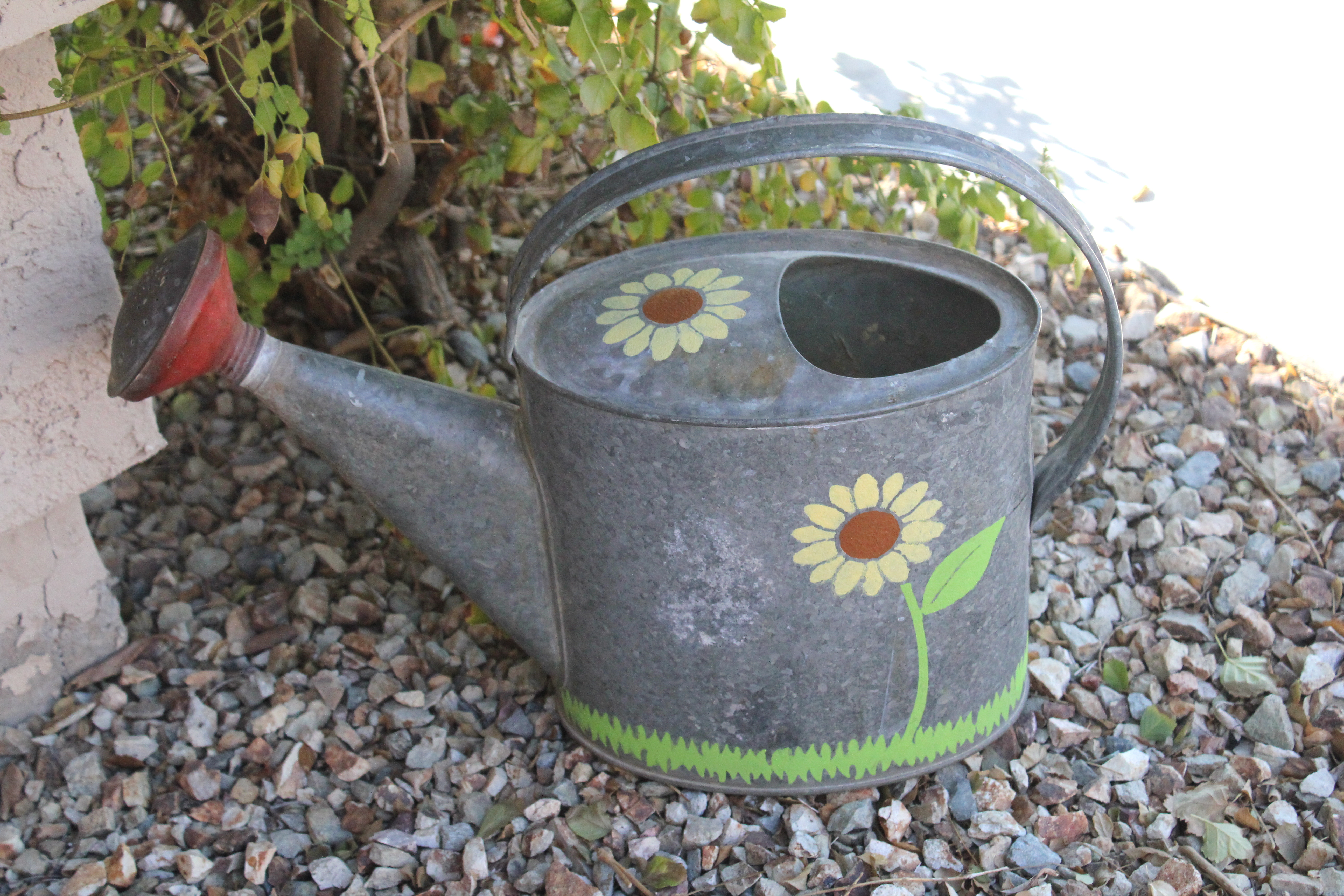 5184x3456 Stenciled Watering Can With New Martha Stewart Decorative Paint Line! - Watering Can Painting