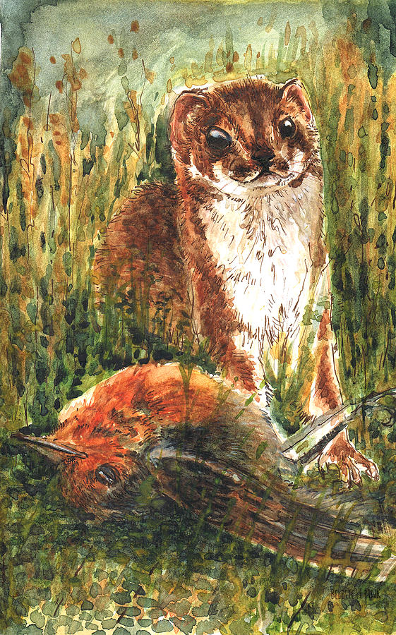 561x900 The Very Little Weasel Painting By Belette Le Pink - Weasel Painting