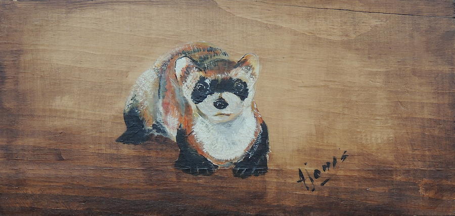 900x428 Weasel Painting By Amalia Jonas - Weasel Painting