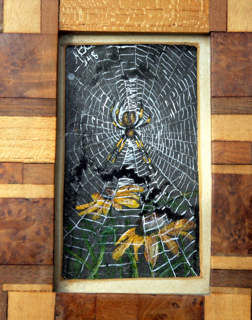 807x1024 Cobweb Painter' Leaves Behind Fragile Miniature Masterpieces - Web Painting