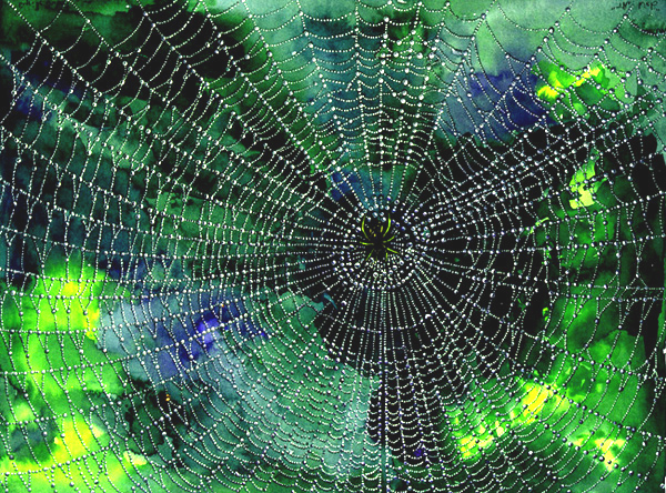 600x444 Dew Drops On The Spider Web A Watercolor Masterpiece - Web Painting