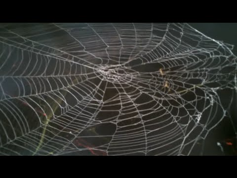 480x360 How To Spray Paint Spider Webs Spray Paint Art Secrets - Web Painting