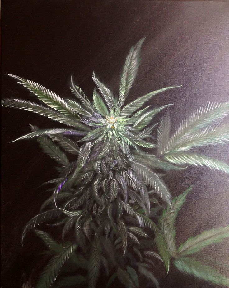 736x928 11 Best Cannabis Paintings Images On Cannabis, Acrylic - Weed Paint...