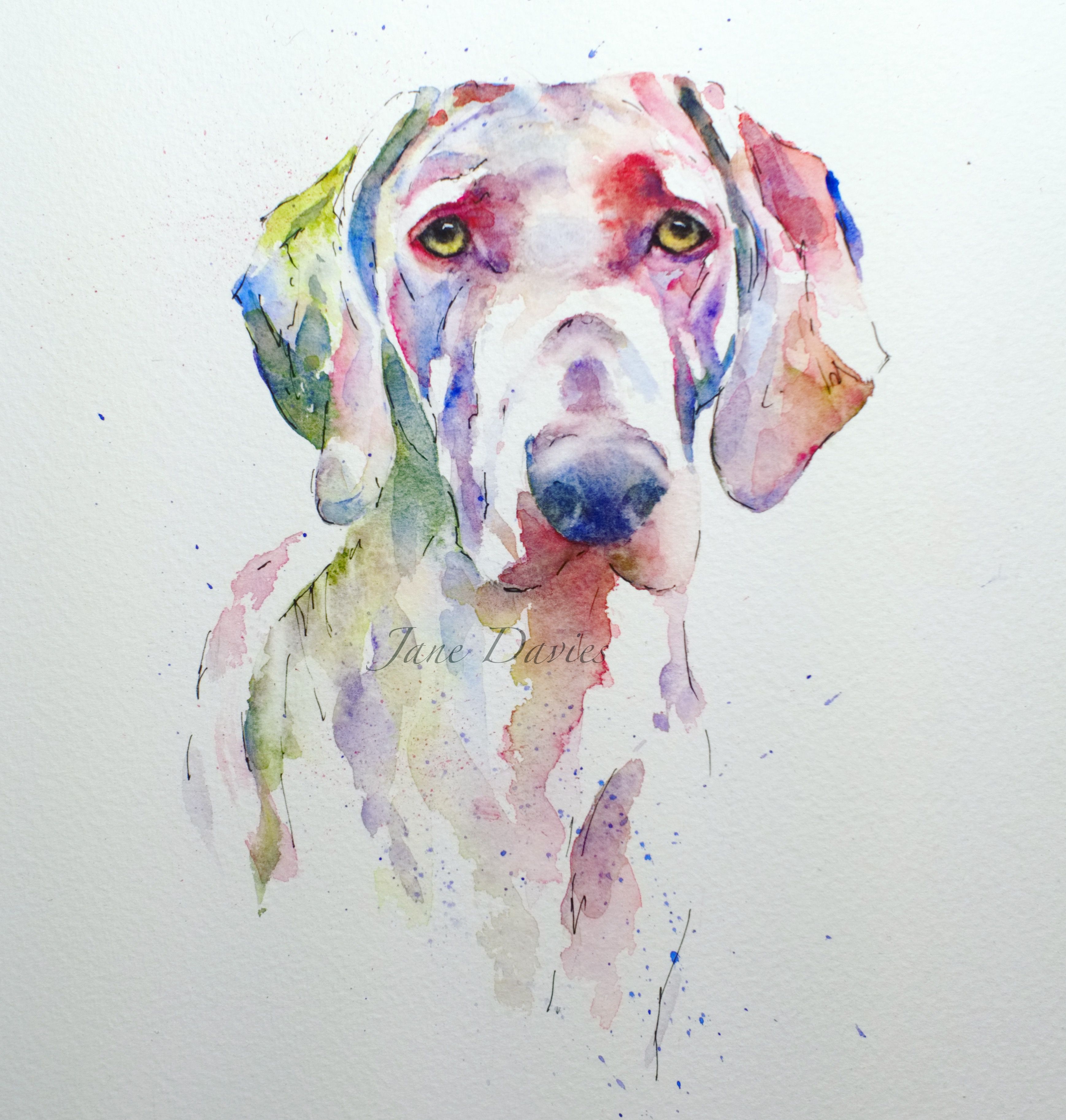 3475x3652 Pet Portrait Of A Weimaraner Painted By Watercolour Artist Jane - Weimaraner Painting