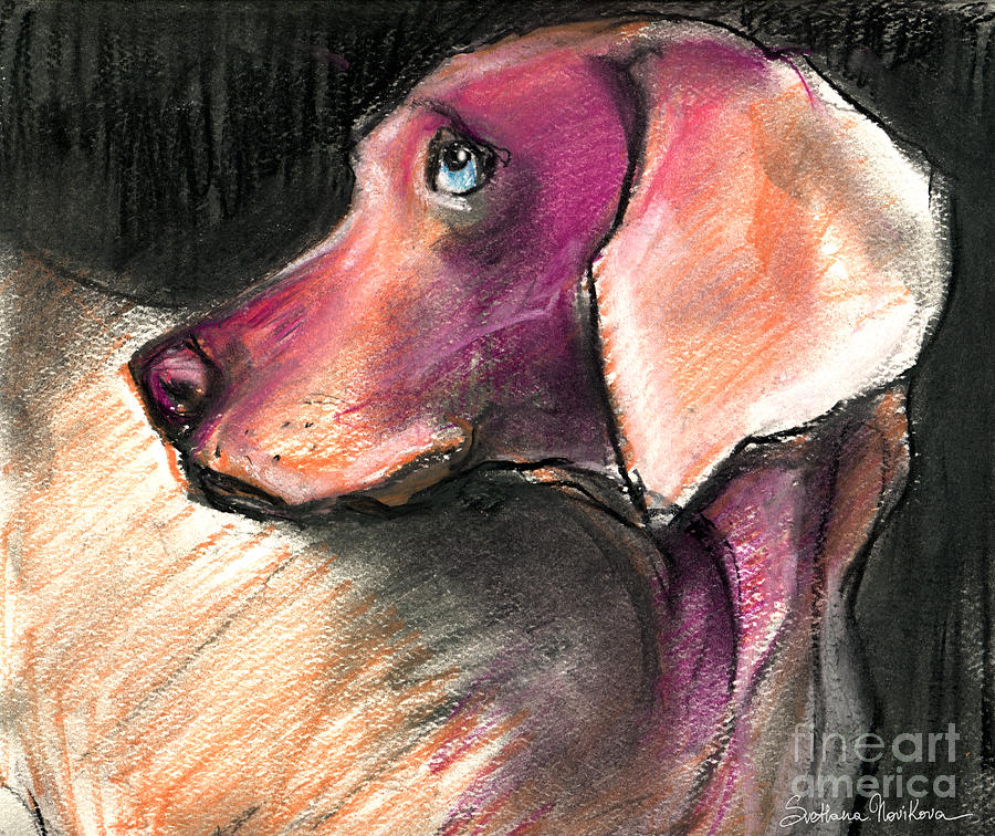 900x756 Weimaraner Dog Painting Painting By Svetlana Novikova - Weimaraner Painting