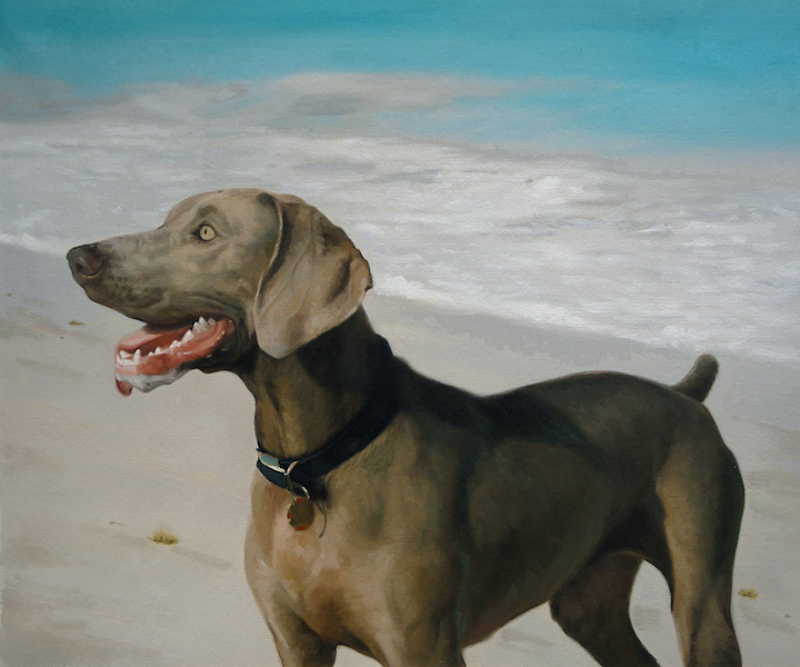720x600 Weimaraner Dogs Dog Artists - Weimaraner Painting