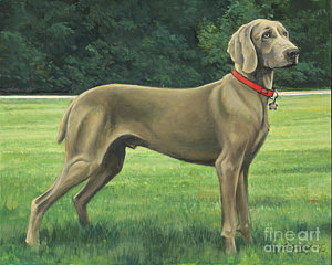 300x240 Weimaraner Paintings Fine Art America - Weimaraner Painting