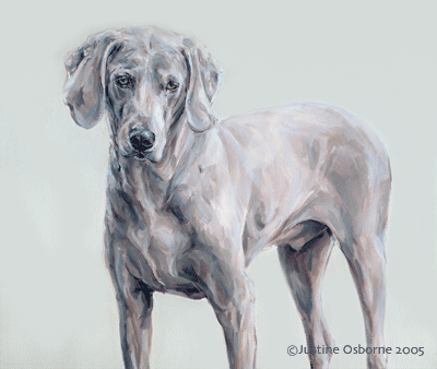 400x338 Weimaraner Dog Painting - Weimaraner Painting