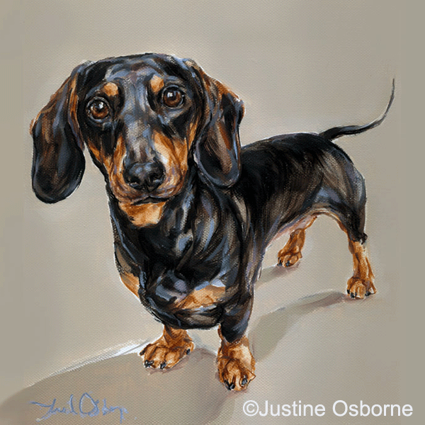 600x600 Dog Art By Paintmydog - Weiner Dog Painting