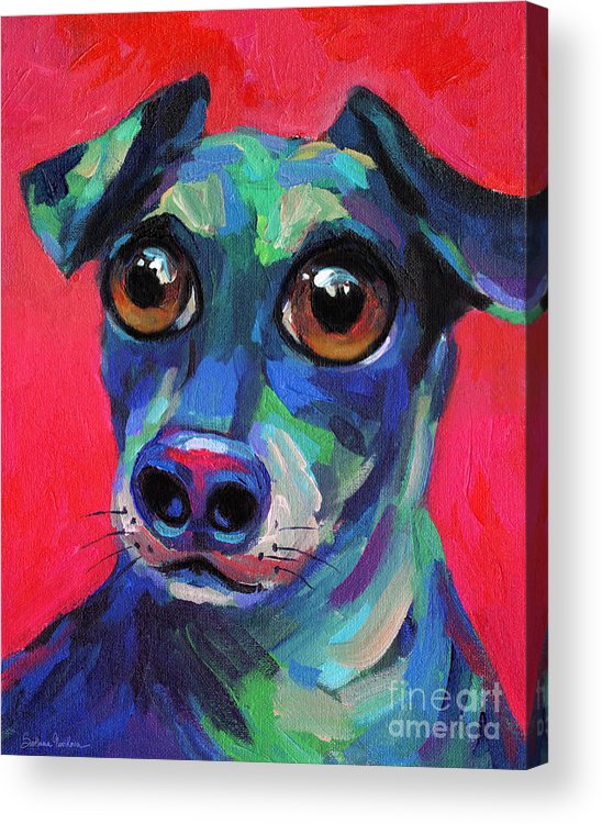 548x750 Funny Dachshund Weiner Dog With Intense Eyes Acrylic Print By - Weiner Dog Painting