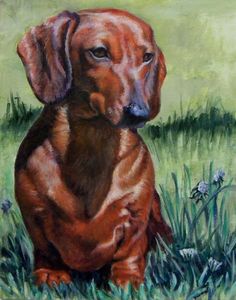 236x300 Miniature Dachshund Dog Pencil Drawing Art Print Signed By Artist - Weiner Dog Painting