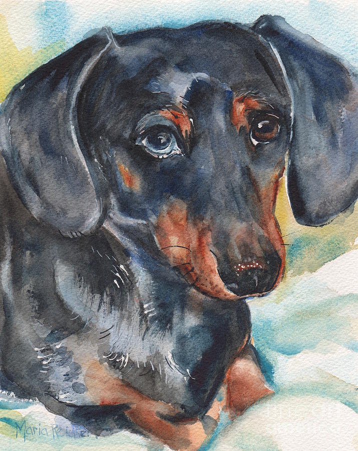 715x900 Dachshund Portrait In Watercolor Painting By Maria's Watercolor - Weiner Dog Painting