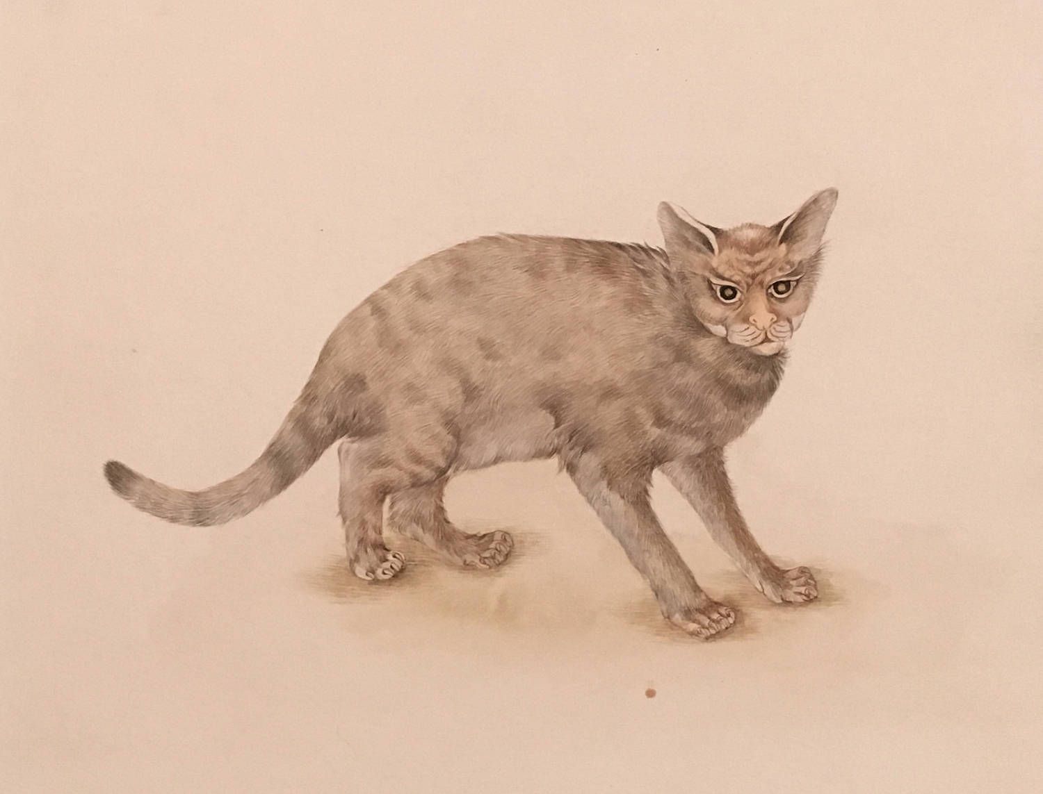 1500x1143 Vintage Cat Painting Gouache On Paper Asian India Feral Cat - Weird Cat Painting