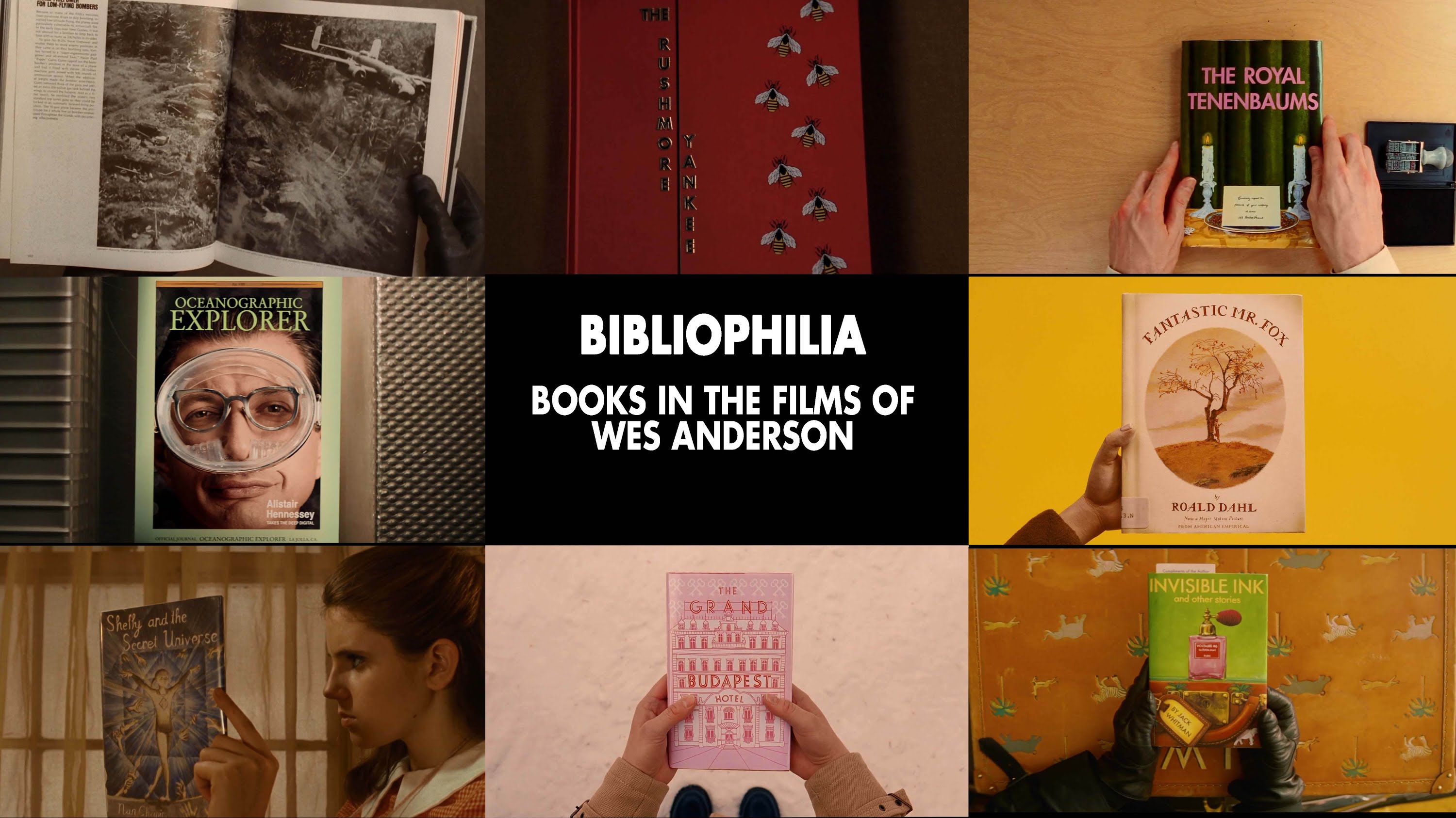 3000x1687 Bibliophilia - Wes Anderson Painting