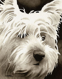 237x300 West Highland Terrier Art Print Sepia Watercolor Westie Painting - Westie Painting