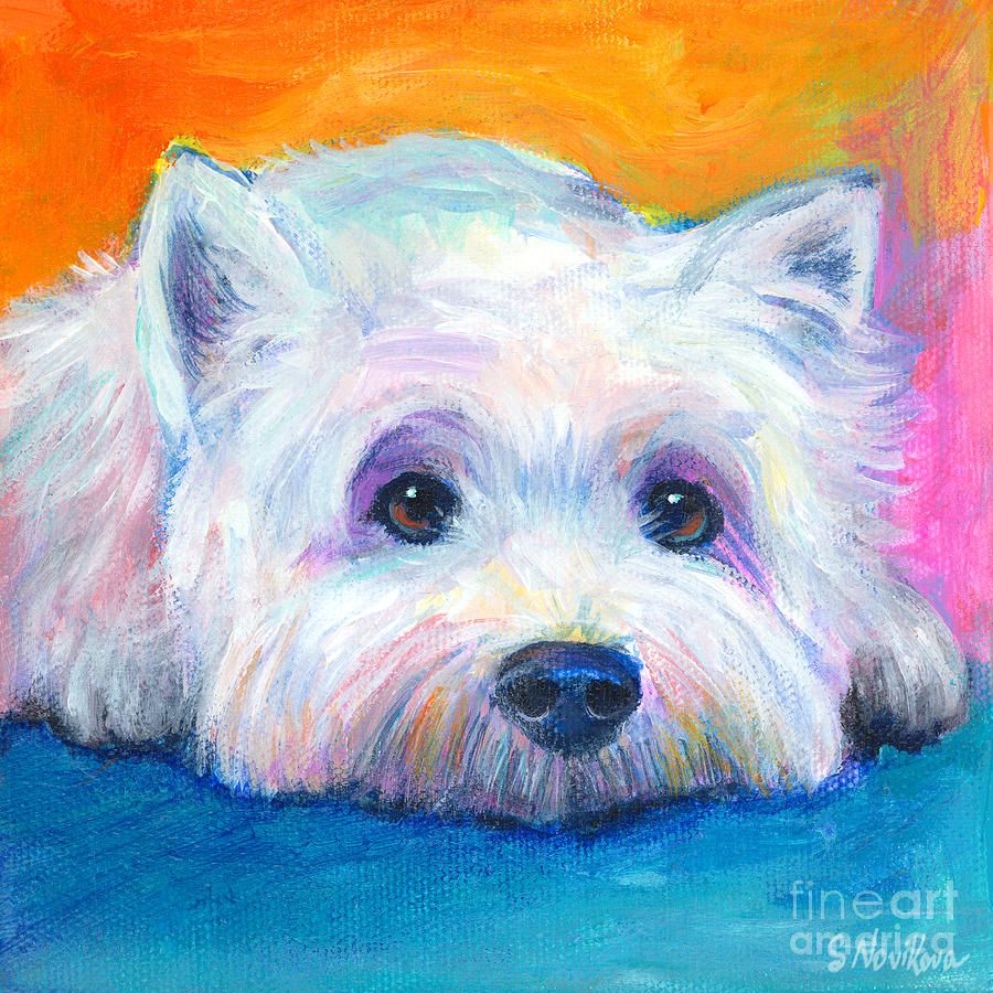 900x900 West Highland Terrier Dog Pinned By Dog - Westie Painting