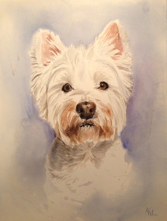 570x753 West Highland Terrier. Westie. Custom Pet Portrait.dog Portrait - Westie Painting