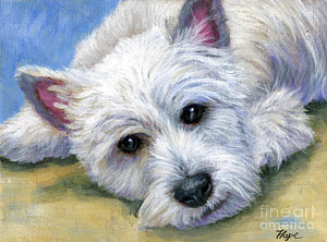 300x222 Westie Paintings Fine Art America - Westie Painting