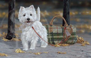 380x242 Westie Paintings In Dog Original Paintings - Westie Painting