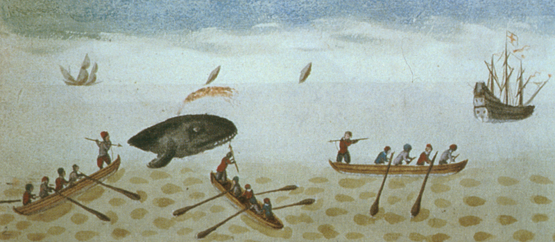 800x349 Land Based Extraction Of Whale Blubber - Whale Boat Painting