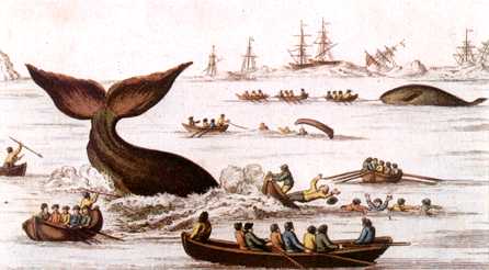 446x246 Man And Whales Changing Views Through Time New Bedford Guide - Whale Hunting Painting