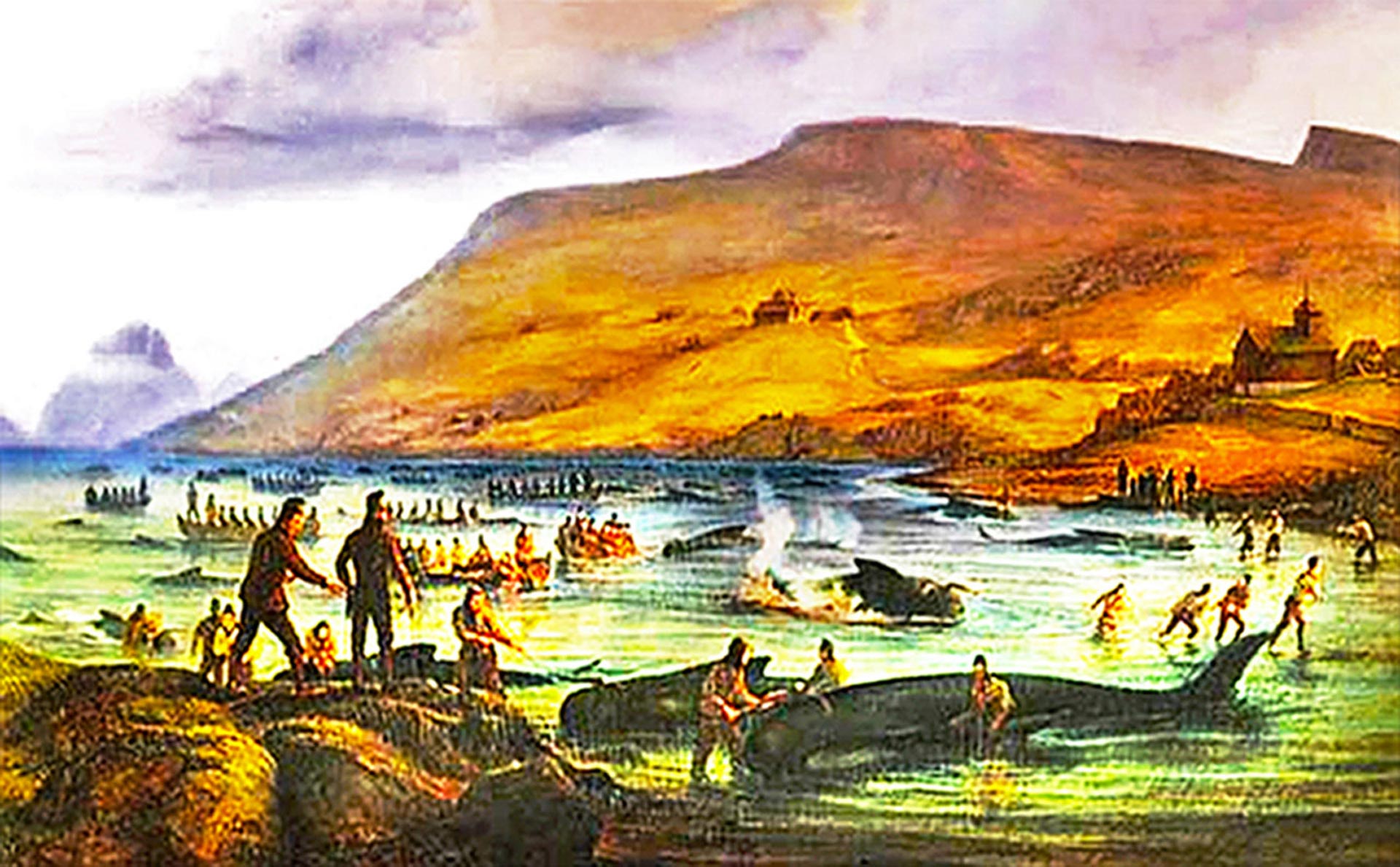 1920x1189 Pilot Whales Ceta Journal - Whale Hunting Painting