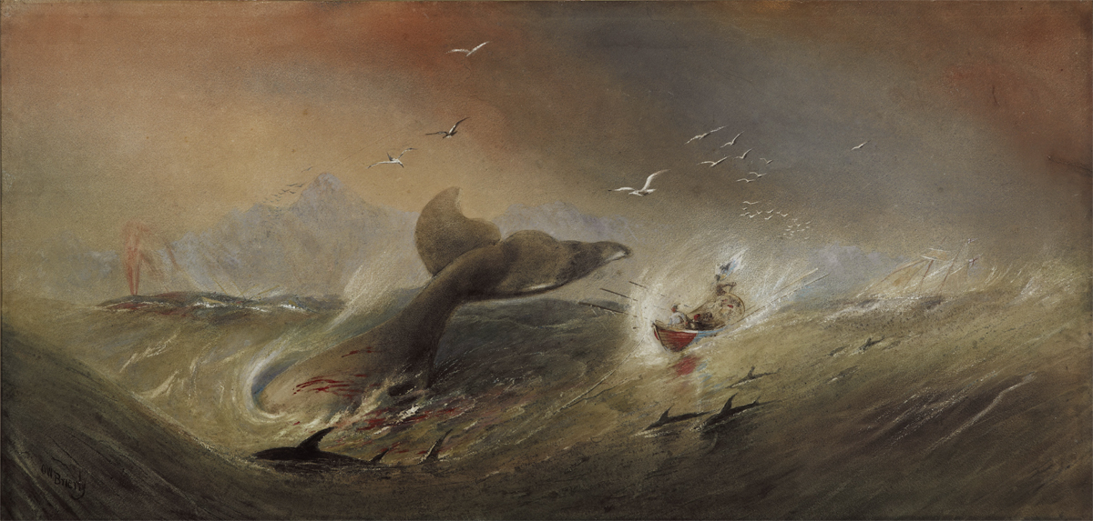 1200x573 The Impact Of Whaling Why Save Whales Australia Maritime Museum - Whale Hunting Painting