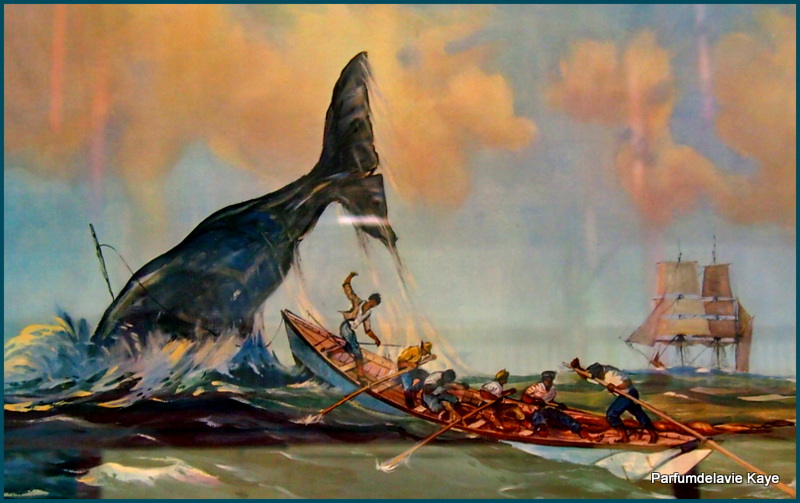 800x503 Whale Parfumdelavie - Whale Hunting Painting