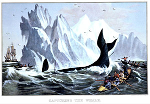 300x209 Whale Hunting Paintings Fine Art America - Whale Hunting Painting